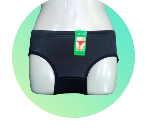 Silk Cotton Plain Panties Pack Of 4
