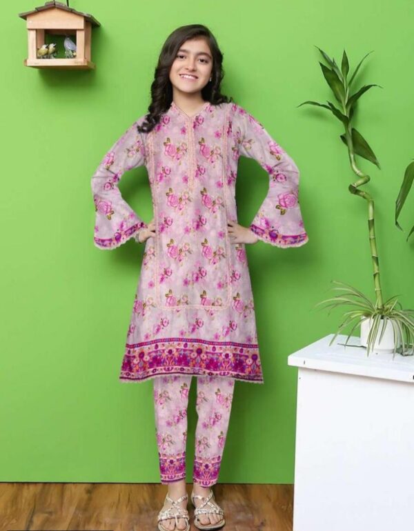  2 Pcs Girl's Stitched Viscose Embroidered Suit